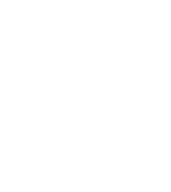 Love hochei model negru pe tricou