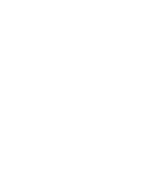 Cap Schnauzer model turcoaz pe tricou