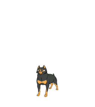 Rottweiler pisică model negru pe tricou