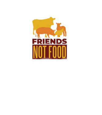 Friends not Food Vegán model gri pe tricou