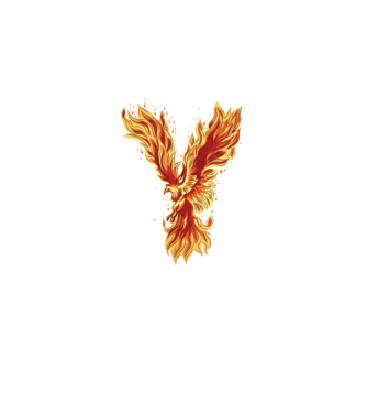 Pasărea Phoenix model negru pe tricou