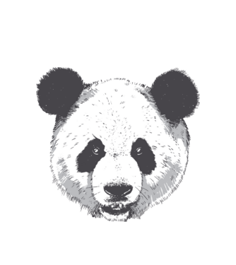 Cap de panda model alb pe tricou