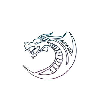Dragon Tribal model alb pe tricou