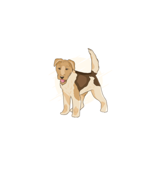 Fox Terrier model verde pe tricou