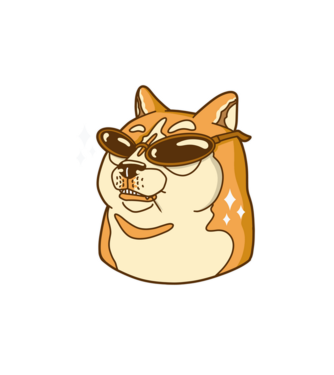Doge Coin model alb pe tricou