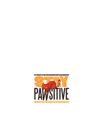 Stay Pawsitive model negru pe tricou