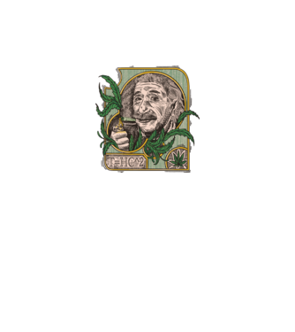Einstein Marijuana THC model negru pe tricou