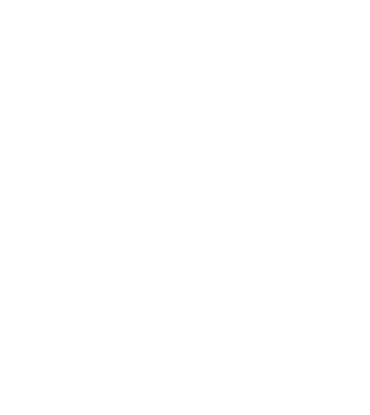 Taur puternic model alb pe tricou