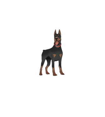 Tricou cu câine dobermann model gri pe tricou