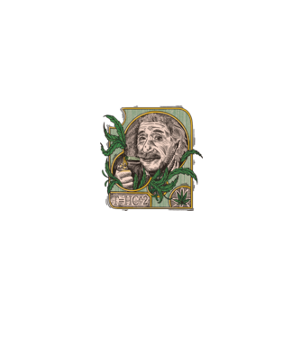 Einstein Marijuana THC model negru pe tricou