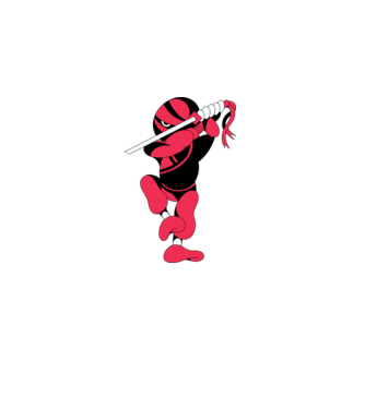 Ninja model alb pe tricou
