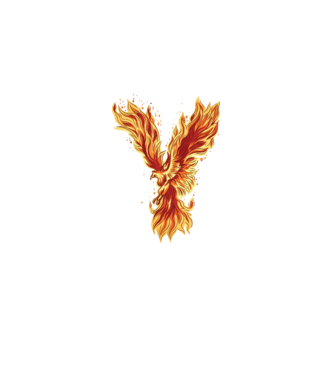 Pasărea Phoenix model negru pe tricou