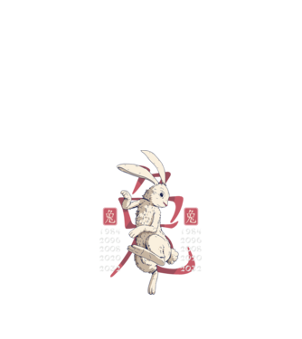 Year of the Rabbit model negru pe tricou
