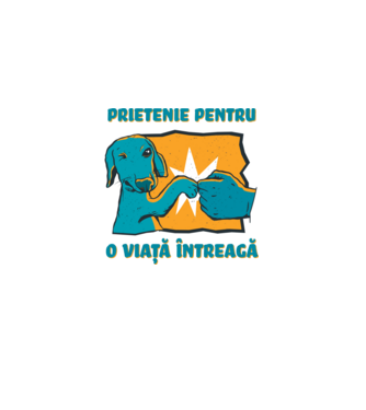 Prietenie pentru o viață întreagă model alb pe tricou