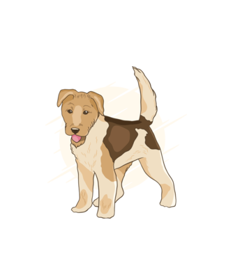 Fox Terrier model alb pe tricou