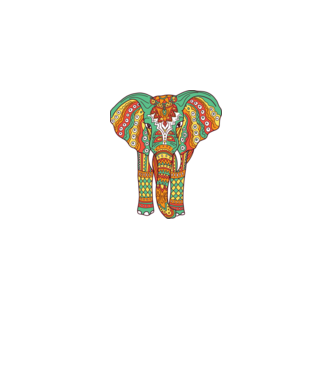 Mandala Elefant model alb pe tricou