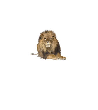 lion king model gri pe tricou