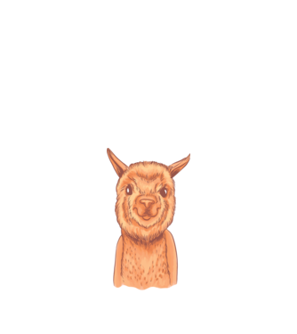 Cap de Alpaca model alb pe tricou