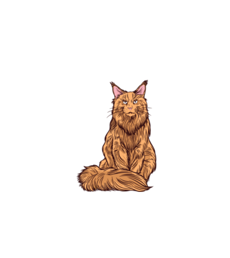 Pisică Maine Coon model albastru închis pe tricou