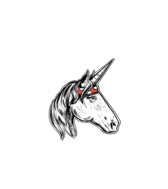 Cal Unicorn model turcoaz pe tricou