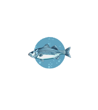 Biban de mare model turcoaz pe tricou