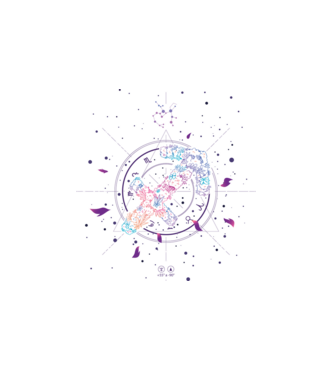 Saggitarius Zodiac model alb pe tricou