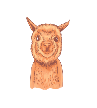 Cap de Alpaca model alb pe tricou