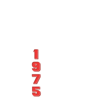 1975 the birth of legends model negru pe tricou