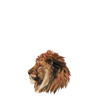 lion polygon model nisipiu pe tricou