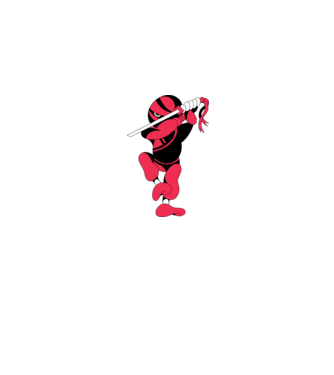 Ninja model gri pe tricou