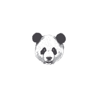 Cap de panda model alb pe tricou
