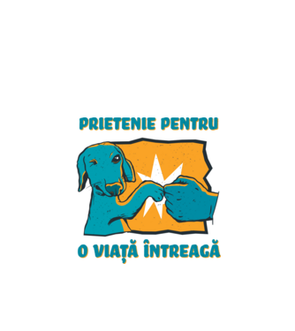 Prietenie pentru o viață întreagă model alb pe tricou