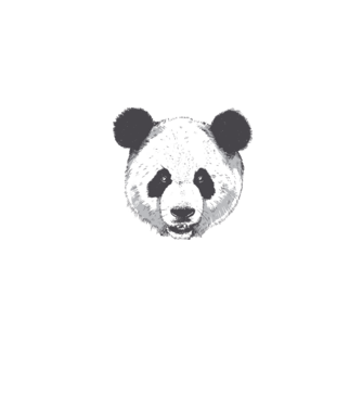 Cap de panda model gri pe tricou