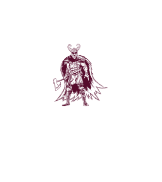 Războinic Odin Viking model alb pe tricou