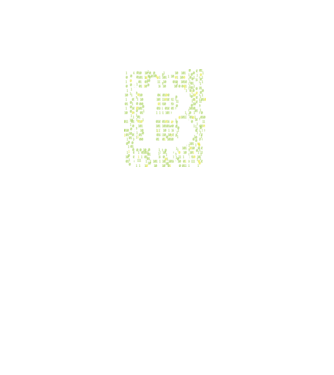 Bitcoin Matrice model negru pe tricou