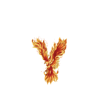 Pasărea Phoenix model negru pe tricou