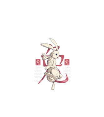 Year of the Rabbit model negru pe tricou