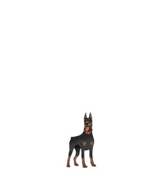 Tricou cu câine dobermann model negru pe tricou