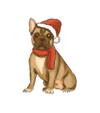 Bulldog francez de Crăciun model alb pe tricou