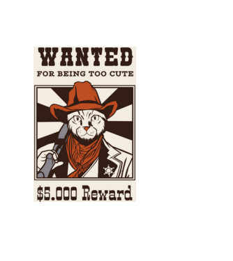 Wanted for being too cute Cowboy cu pisică model negru pe tricou