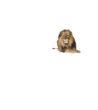 lion king model galben neon pe tricou