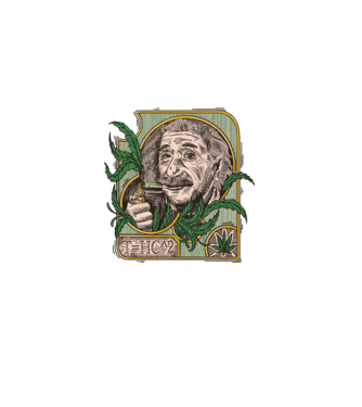 Einstein Marijuana THC model  pe tricou