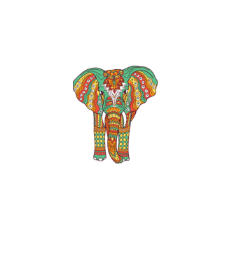 Mandala Elefant model alb pe tricou