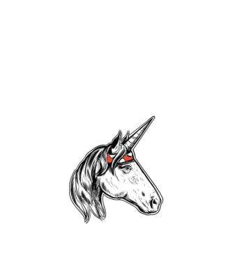 Cal Unicorn model nisipiu pe tricou