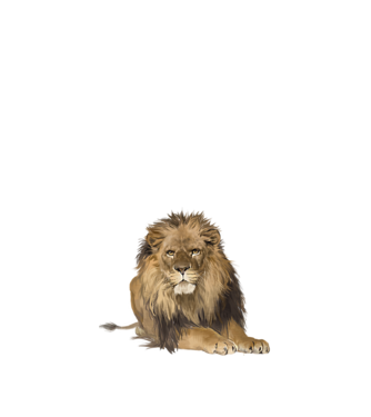 lion king model nisipiu pe tricou