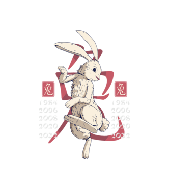 Year of the Rabbit model alb pe tricou