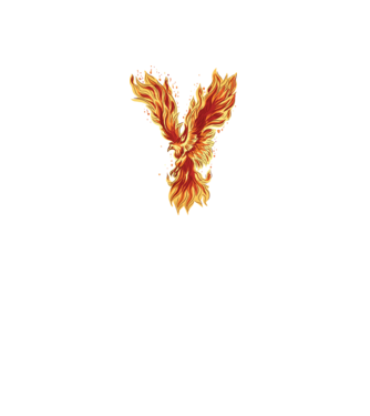 Pasărea Phoenix model negru pe tricou