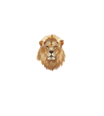 lion head paint model alb pe tricou