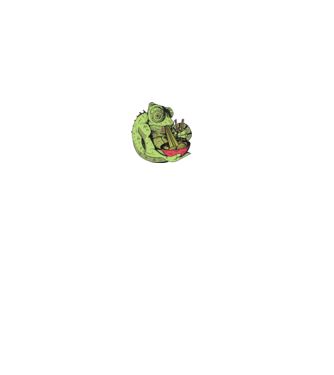 Cameleon cu paste model verde pe tricou
