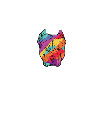 Cap colorat Pitbull model gri pe tricou